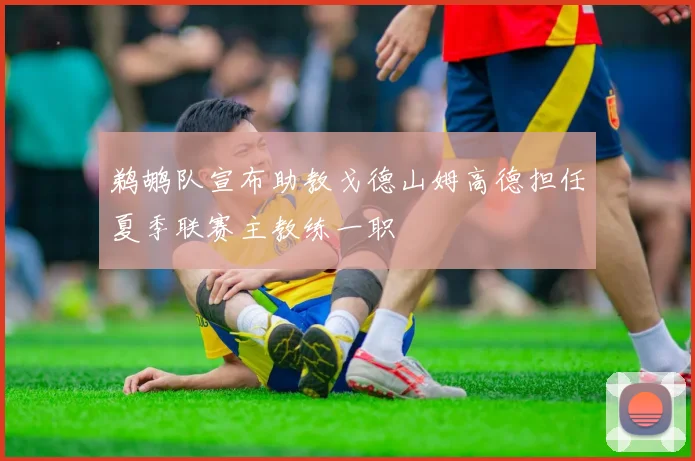 鹈鹕队宣布助教戈德山姆高德担任夏季联赛主教练一职