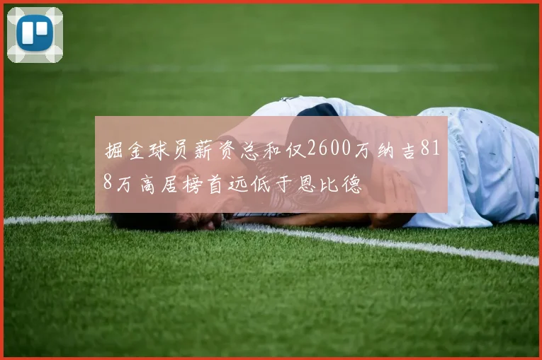 掘金球员薪资总和仅2600万纳吉818万高居榜首远低于恩比德