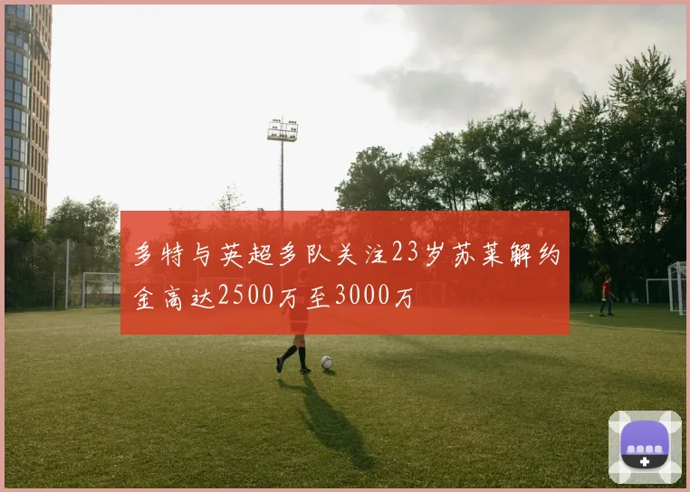 多特与英超多队关注23岁苏莱解约金高达2500万至3000万